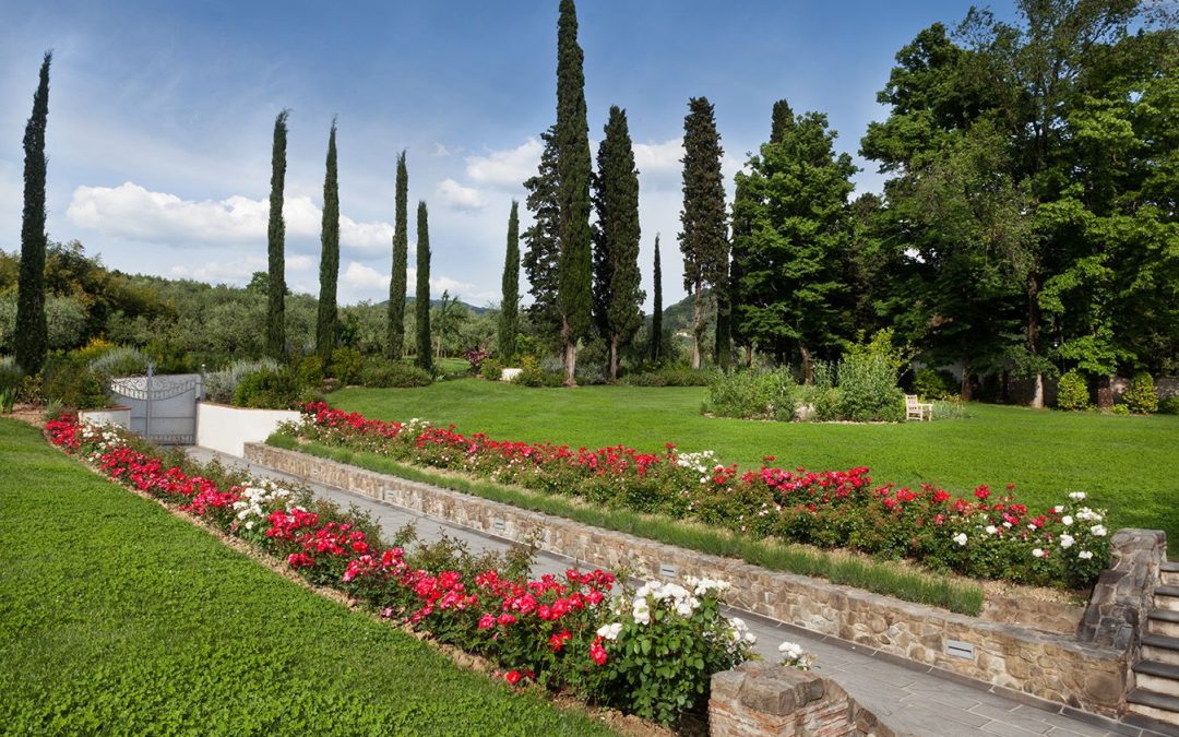 A GARDEN AROUND A LEMON TREE NURSERY