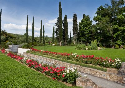 A GARDEN AROUND A LEMON TREE NURSERY