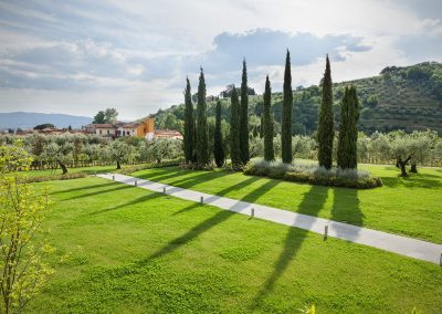 OLIVE GROVE WITH A VIEW